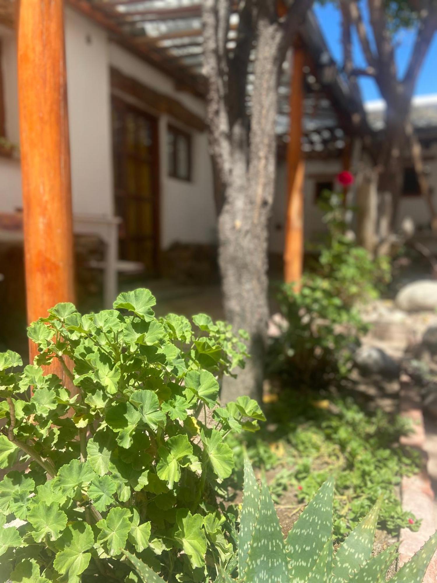Tierra Andina Inn Cafayate